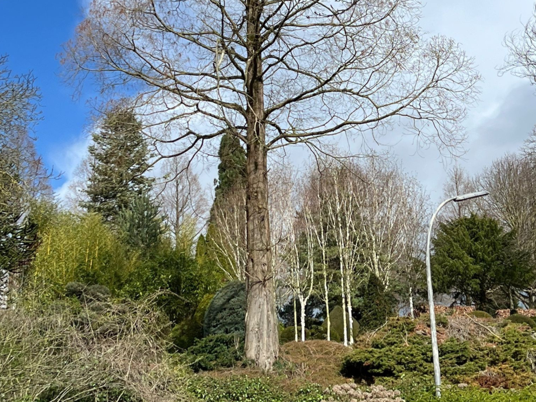 Bild 18 von Neubau